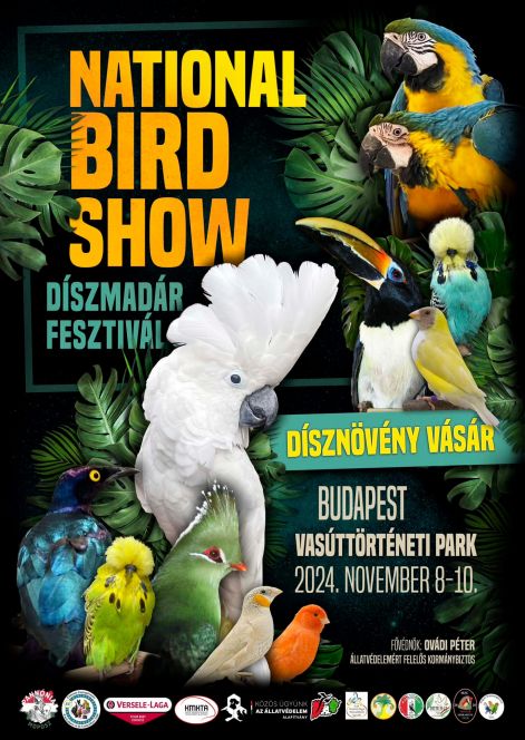 birdshow24.jpg